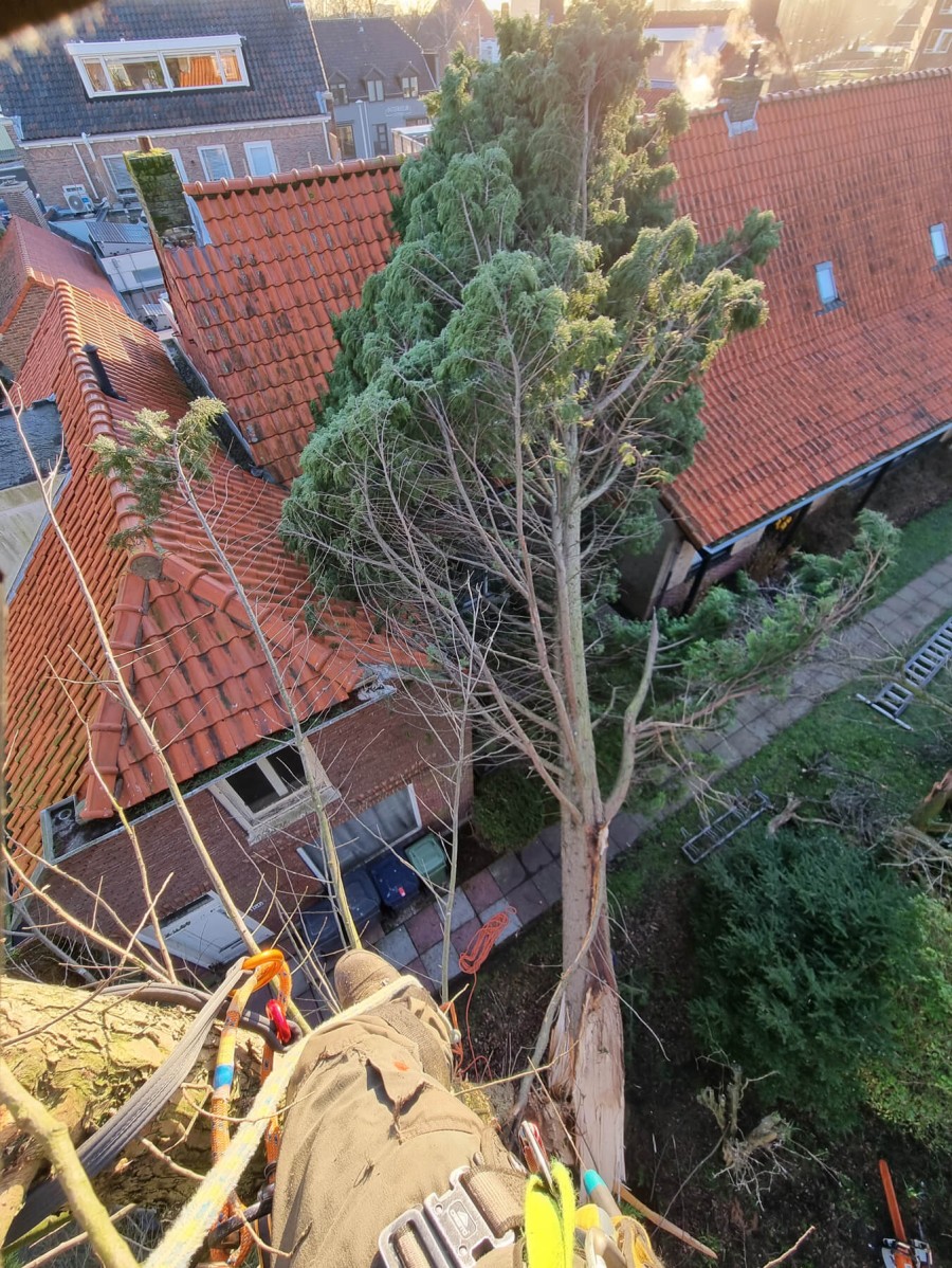 Wees stormschade voor!